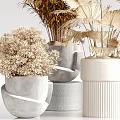 Various Decorative Potted Plants With Natural Gray And White Ceramic Pots