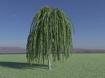 Weeping Willow Tree With Long Hanging Branches Against Blue Sky Mountains And Green Grassland 3d model
