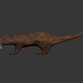 Orange Red Otter 3D Model Standing On Gray Smooth Background
