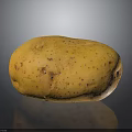 Fresh Single Yellow Potato with Brown Spots on Black Background 3d model