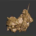 Shiny Golden Dog Sculpture with Warrior Figure on Rock Base Artwork