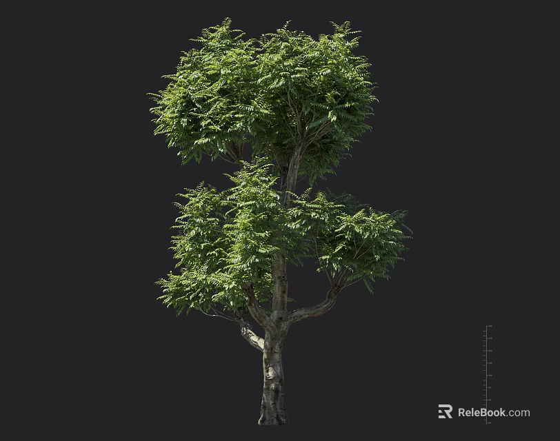 Lush Evergreen Arbor Featuring Thick Green Leaves And Natural Trunk Texture In Garden 3d model 