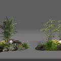 Garden Plant Combination With Palm Tree Shrubs Colorful Flowers And Rocks