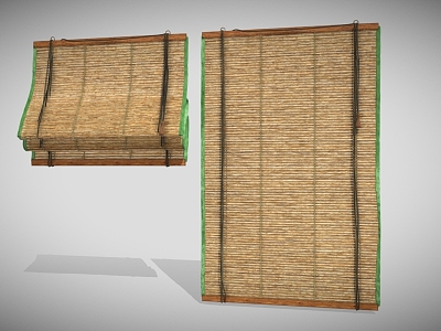 Modern Bamboo Curtain model