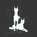 Two Black Dogs Standing And Sitting With White Foam Like Substance