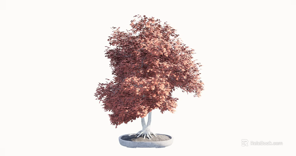 Bonsai Tree With Red Leaves And White Roots In Round Pot 3d model 