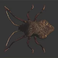 Modern beetle edge chaub beetle 3d model