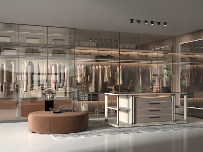 Modern Walk In Closet With Glass Wardrobes Island And Ottoman 3d model