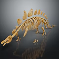 Anatomical Dinosaur Skeleton Fossil Showing Prehistoric Animal Organs And Hair Structure