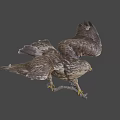 Realistic Hawk With Spread Wings Perched On Branch Against Gray Background 3d model