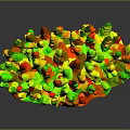 Vibrant Coral Polyps Displaying Colorful Branching Structures With Iridescent Blue Green Tones