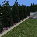 Neatly Arranged Evergreen Trees With Pink Flowers Green Grass And Paved Path