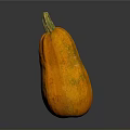 Fresh Orange Pumpkin as Healthy Food Ingredient for Home Cooking Recipes