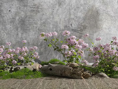 Pink Small Flowers Decorative Display With Gray Wall Stones Moss And Wooden Log 3d model