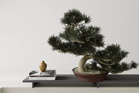 New Chinese Floriculture New Chinese Bonsai Zen Pine 3d model