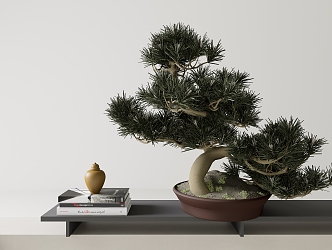 New Chinese Floriculture New Chinese Bonsai Zen Pine 3d model