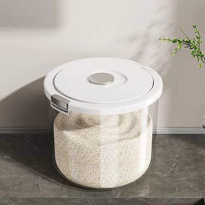 Airtight Transparent Kitchen Storage Container With White Lid For Rice 3d model