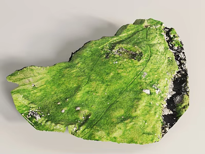 Microtopography With Green Grass Surface And Natural Textured Small Rock Details 3d model