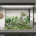 Modern Interior Design With Various Lush Green Indoor Plants And Foliage