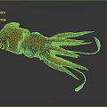 Vibrant Red And Blue Squid With Long Tentacles Bioluminescent Elements 3D Rendered Aquatic Animal
