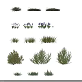 Different Types of Garden Shrubs Including Purple Lavender and Green Grasses