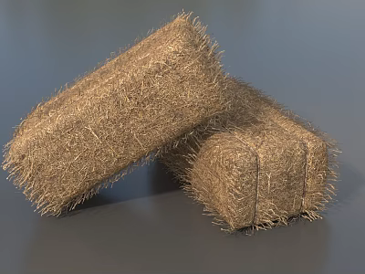 Two Natural Hay Bales With Handmade Fiber Texture Placed on Gray Background 3d model