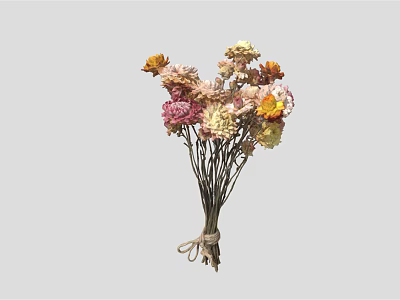 modern dried flowers 3d model
