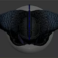 Detailed Warrior Armor Featuring Blue Feather Helmet and Scaly Breastplate Design