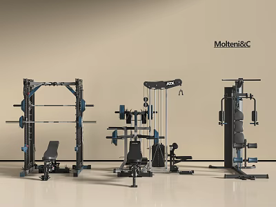 Professional Sports Equipment with Squat Rack Multi Functional Trainer Weight Benches and Cable Machines 3d model