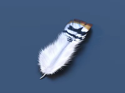 White Feather With Black And Brown Patterns Soft Decorative Daily Life Product 3d model