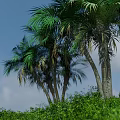 Tropical Island With Palm Trees Greenery Sandy Beach And Blue Water