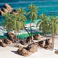 Tropical Waterfront Landscape With Sandy Beach Palm Trees Rocks And Clear Blue Waves