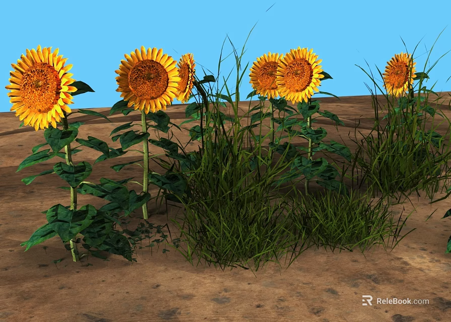 Vibrant Sunflowers and Lush Green Grass Growing in Sandy Ground Under Blue Sky 3d model 