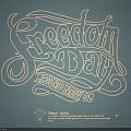Illuminated Neon Lamp With Artistic Font Freedom Day And BRAND NEW 03 Design