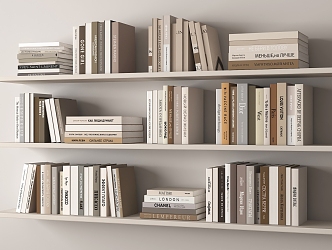 Modern Books 3d model