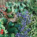 Living Plant Wall with Colorful Red Purple Flowers and Various Green Foliage