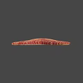 Red Orange Starfish With Detailed Textured Surface On Gray Background