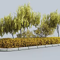 Golden Leaf Shrub Hedge With Weeping Trees And Stone Border Landscape Design 3d model