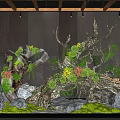 Decorative Natural Arrangement With Driftwood Green Plants Colorful Flowers Rocks And Moss