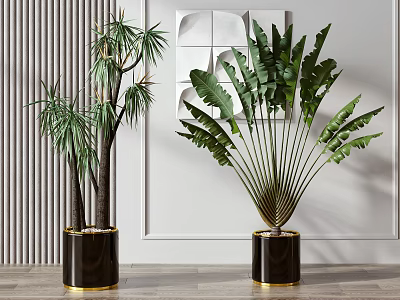 Indoor Potted Palm and Large Leaf Plants in Black Gold Rimmed Pots for Modern Interior 3d model
