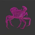Brown Clawed Shiny Shell Crab Standing On Dark Background With Long Legs And Textured Body