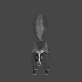 Game And Movie Skunk Character With Black White Fur And Fluffy Tail Standing Pose