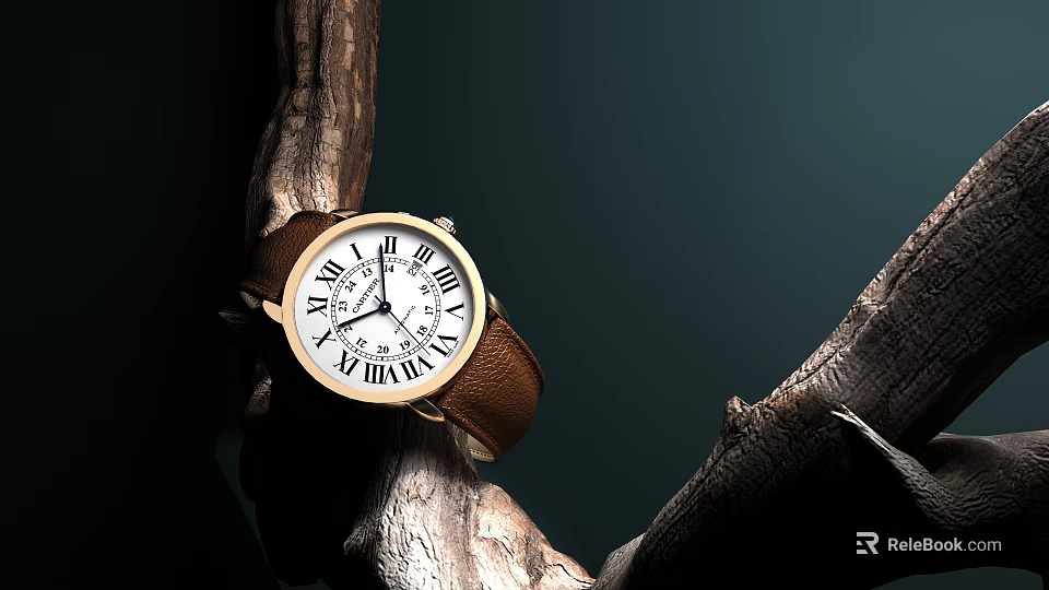 Vintage Watch With Brown Leather Strap And Roman Numeral Dial On Tree Branch 3d model 