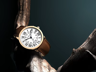 Vintage Watch With Brown Leather Strap And Roman Numeral Dial On Tree Branch 3d model