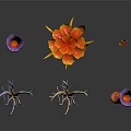 Colorful Tropical Plants With Vibrant Flowers And Coral Like Structures On Black Background