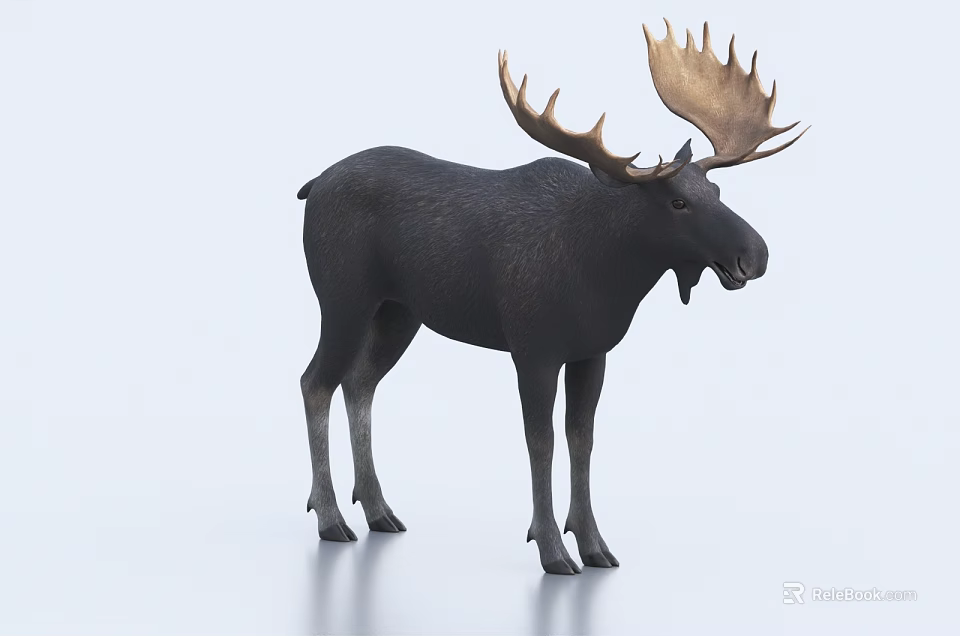 Realistic Moose Statue With Large Antlers Standing On Light Surface 3d model 