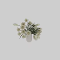White Ceramic Vase With Fresh White Flowers and Green Leaves for Home Decorative Arrangement