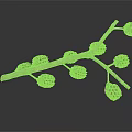 Detailed Natural Tree Branch With Multiple Brown Cones On Dark Background