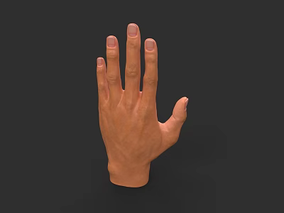 Realistic 3D Rendered Human Hand With Detailed Fingers And Natural Skin Texture 3d model