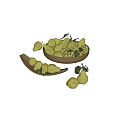 Fresh Green Pears in Wooden Bowl and Tray with Fresh Leaves